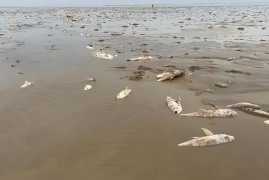 鄱阳湖为什么有枯水期，鄱阳湖上万斤鱼搁浅转运