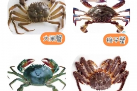 吃螃蟹应该注意什么，专家建议一顿饭不宜吃超过2只螃蟹