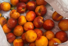 油桃是什么季节的水果，油桃上市季节和挑选技巧常识