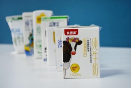 认养一头牛牛奶质量怎么样，市面常见七款特色纯牛奶选择对比技巧