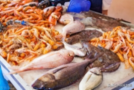 海鱼价格排名大全，春夏季9大优质海鱼品种排名来了