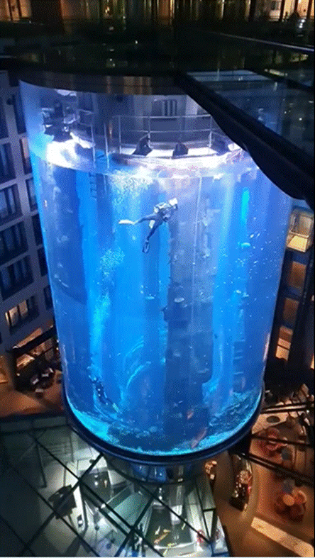水族馆的玻璃有裂的可能吗，世界最大独立圆柱体水族馆爆裂事件