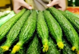 黄瓜里面含有什么营养物质，蔬菜中5种常见瓜的营养成分及挑选方法