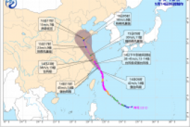 台风梅花对浙江有影响吗，中央气象台就台风梅花将登陆各地天气实况预报