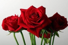 买来的玫瑰花束怎样养久一点，10个延长玫瑰花保鲜期的小妙招