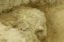 人类头骨化石最早在哪里被发现，湖北发现第三具100万年左右古人类头骨化石