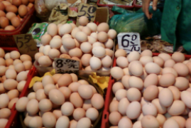 鸡蛋价格是多少钱一斤今天，9月1日蛋价大涨价格突破6元