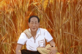 巨型水稻是真的吗，农业人员和2米巨型稻比高