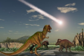 恐龙进化成了什么动物，一文了解恐龙的进化与演变过程图解