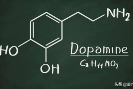 多巴胺让你自律上瘾，认清我们大脑里的4种快乐神经