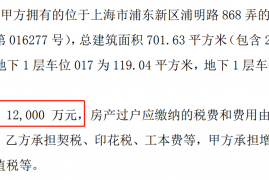 上海江景房多少钱一平，山东富豪1.2亿买上海700平江景豪宅事件真相