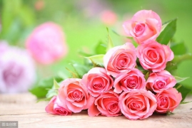 玫瑰花各种颜色代表的花语和寓意，千万别送错的5种颜色玫瑰代表意义