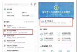 深圳电子社保卡怎么激活和使用，最新网上第一次开通深圳社保卡指南