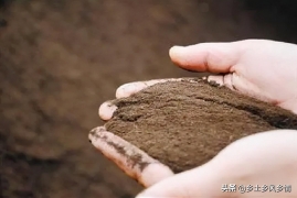 土壤活化剂怎么用，一看就会土壤活化剂2种简单使用方法