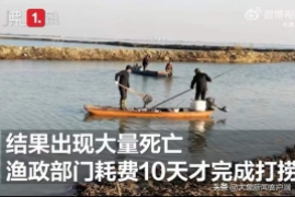 放生有什么讲究，江苏女子放生2.5万斤鲇鱼被起诉事件始末
