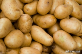 土豆的保存最佳方法是什么，亲测4种土豆保存法半年新鲜不长芽