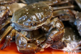 活的大闸蟹应该怎样保存，教你活螃蟹这样放一周还鲜活的方法