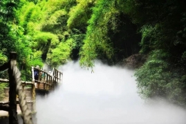 川西竹海景区在哪里，四川家门口的十万亩竹林景观避暑地介绍